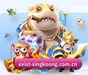 关于我们 - 体育资讯内容服务 | xingkong
